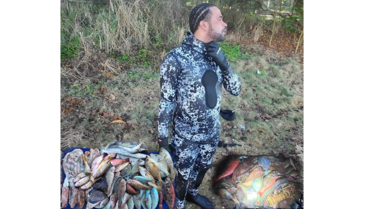 spearfishing and adventure hunting fish for a customer! 🎣🌊 #Spearfishing #Adventure #Fish #Customer