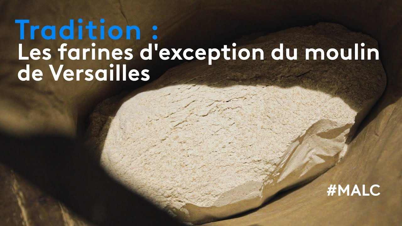 Tradition : les farines d'exception du moulin de Versailles
