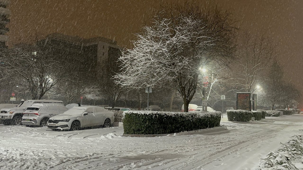 Frozen Day Diaries ⛄️ Snow Everywhere, Life on Pause | Budapest 