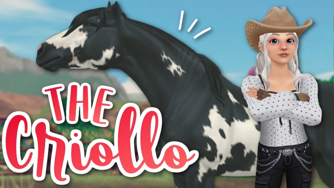 Buying the New Criollo Horse! 🐴