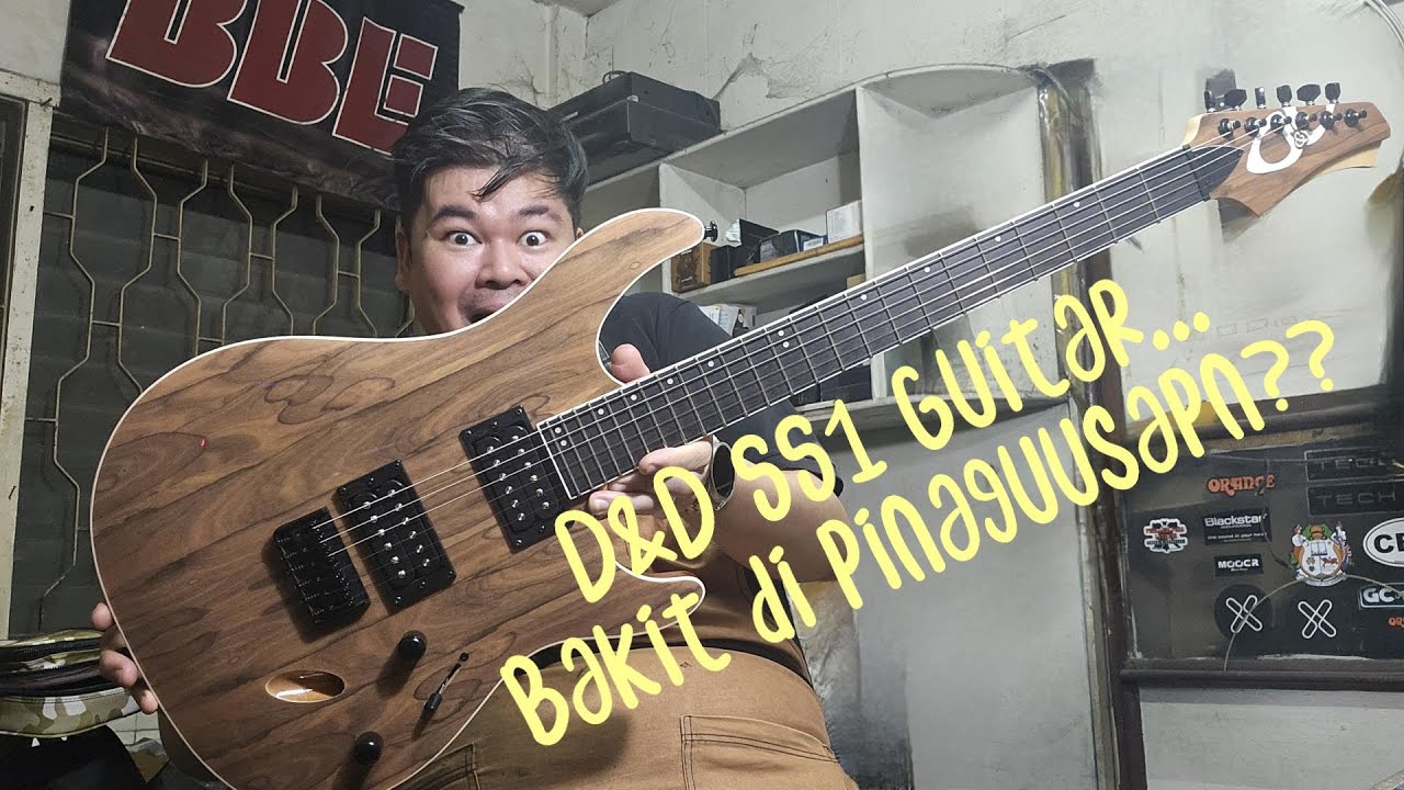 D&D SS1 Guitar....