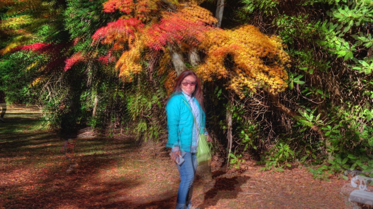 Breenhold Gardens