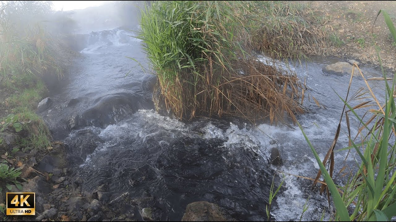 The stream in the water garden - 4k Nature Sound Videos #05