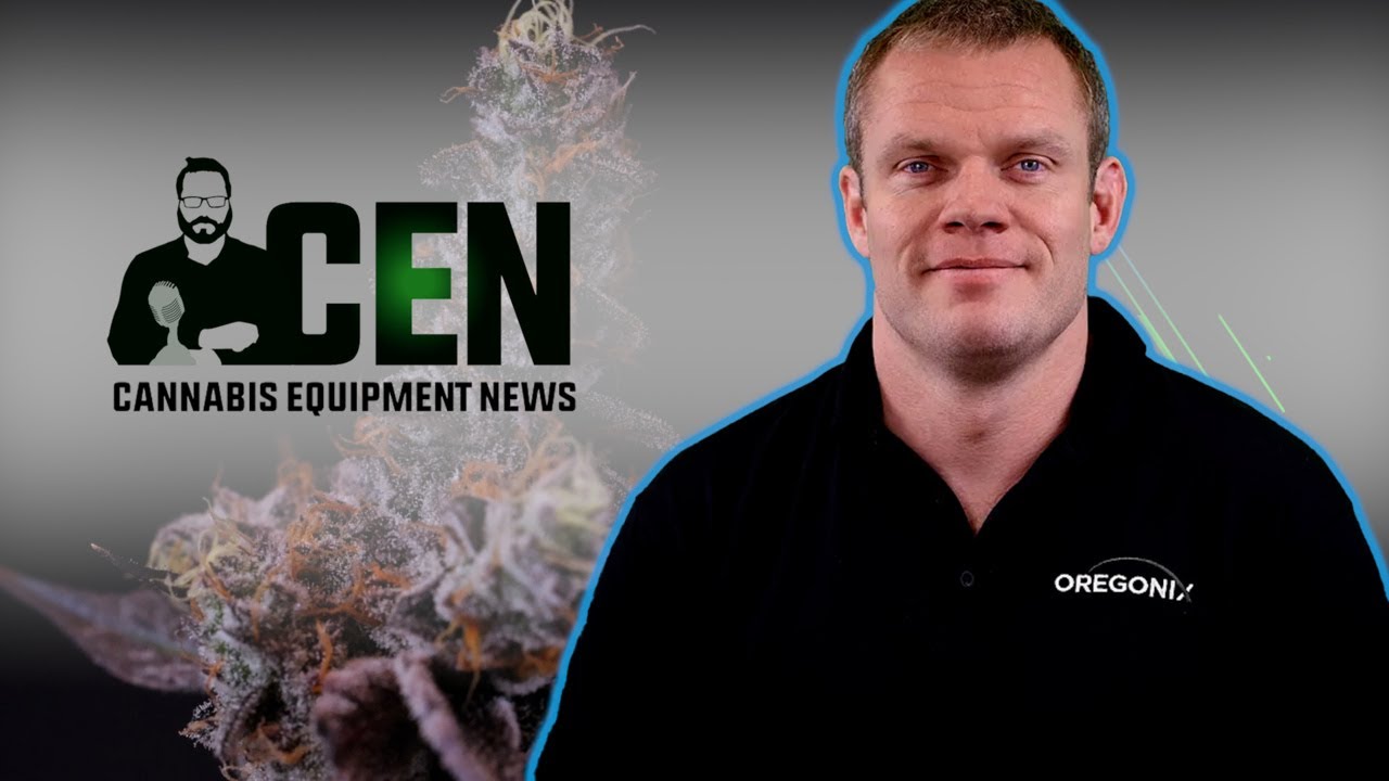 Owen Papworth: Regulated Markets Are the Healthiest for Cannabis Operators