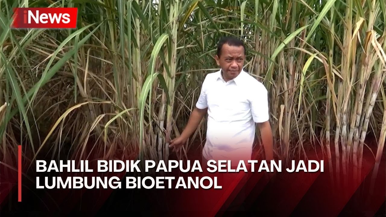 Menteri Bahlil Tinjau Perkebunan Tebu di Merauke, Targetkan Swasembada Gula untuk Bioetanol