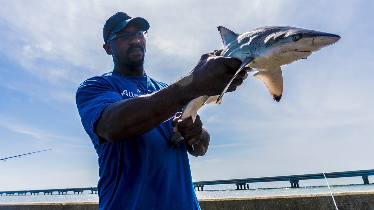 Fishing St. George Island Bridge