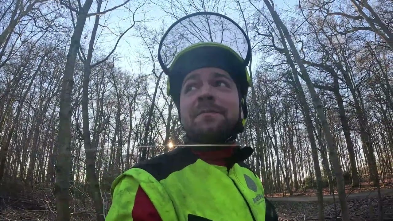 Läuterung eines Eichenbestandes | Umgang mit Pflegerückständen