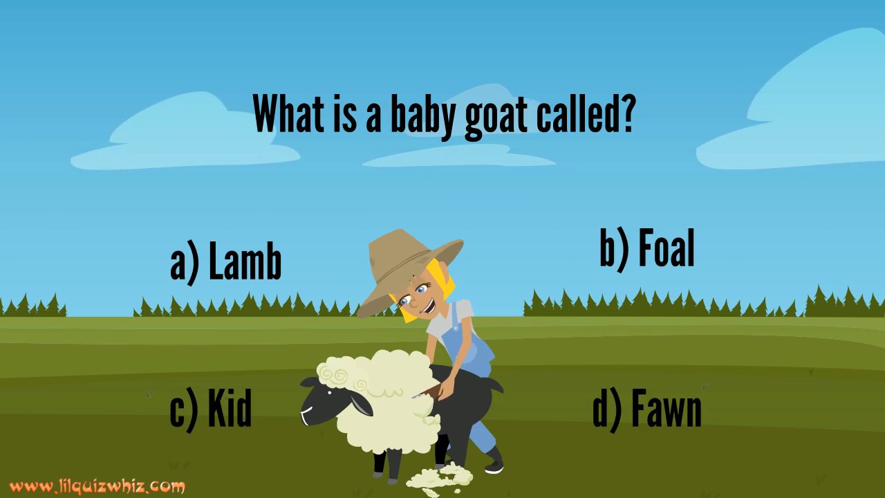 LilQuizWhiz-  Brainteaser-1- Learning videos for kids - Fun quiz for kids