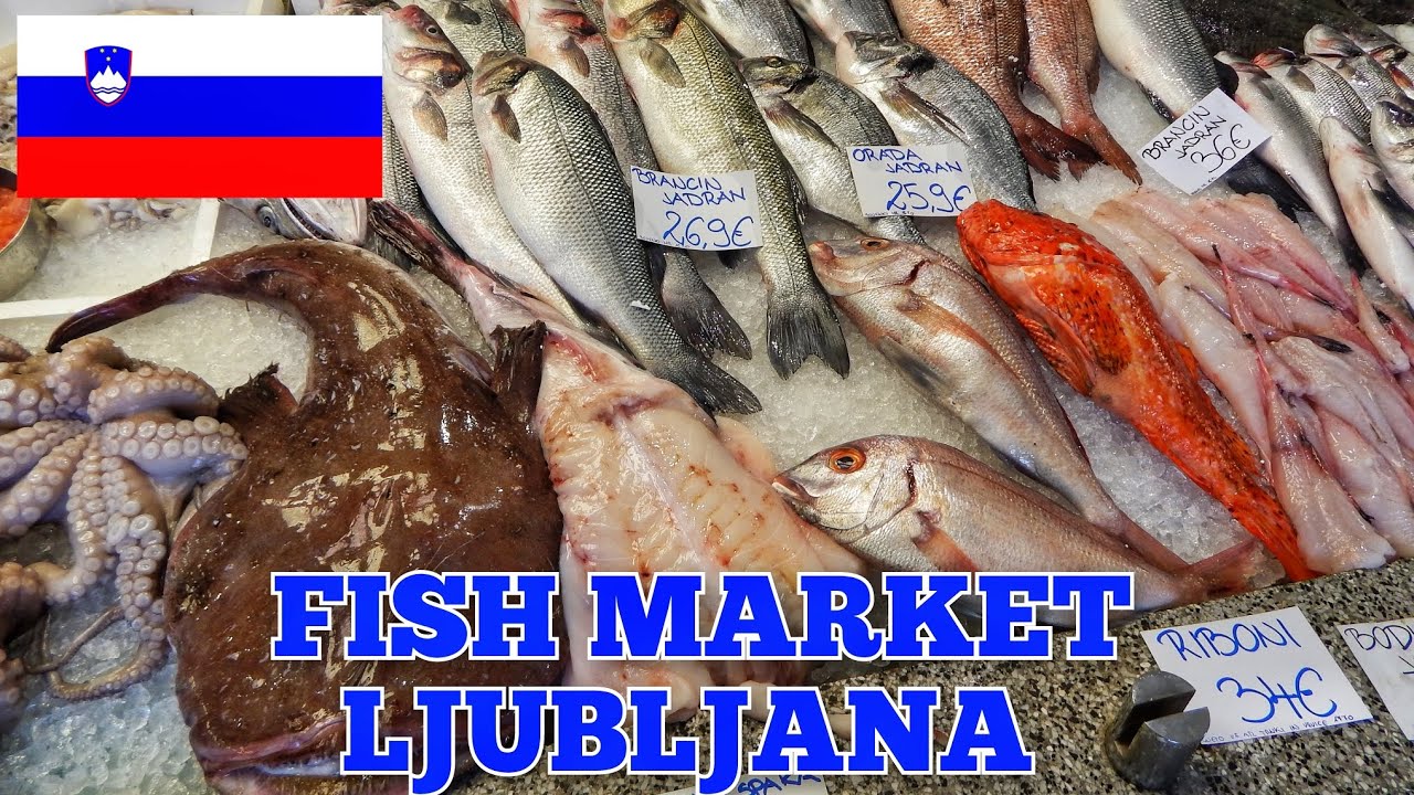 Ljubljana Fish Market 🇸🇮 – Fresh Fish & Local Prices #slovenia #fish #food