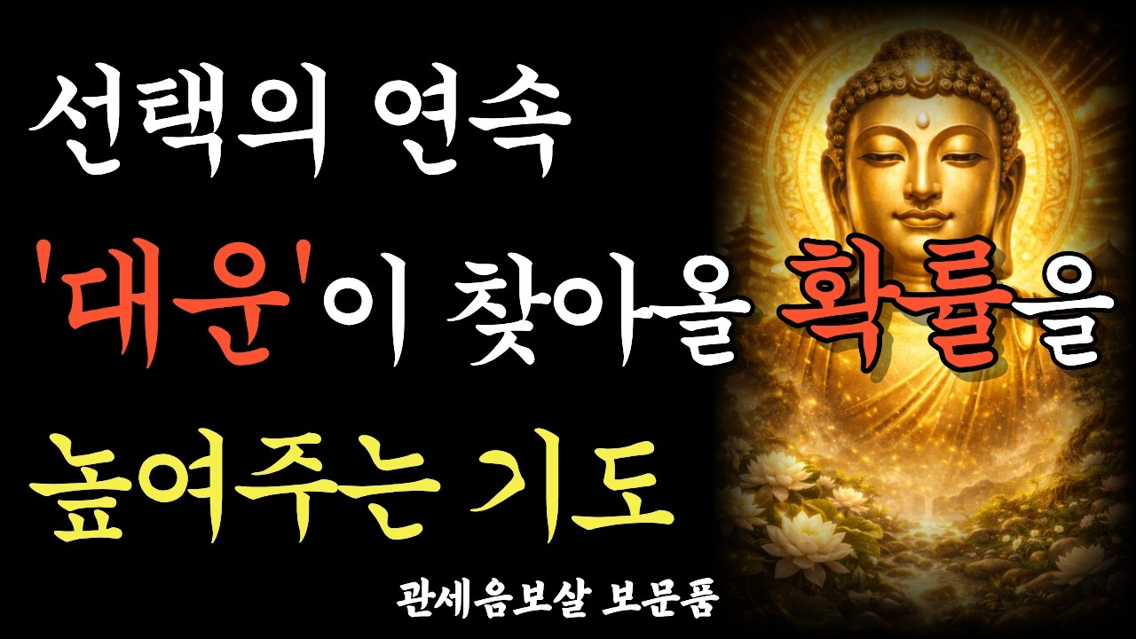선택의 연속 대운이 찾아올 확률을 높여주는 기도 | 불교명언 | 관세음보살 보문품 | 부처님말씀 | 석가모니 명언 | 수면 영상