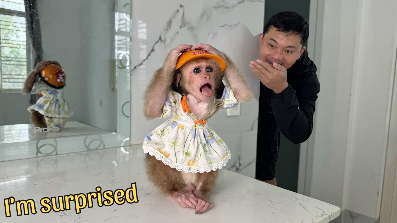 Kyo's funny reaction to the 'oversized' hat her Dad gave him!