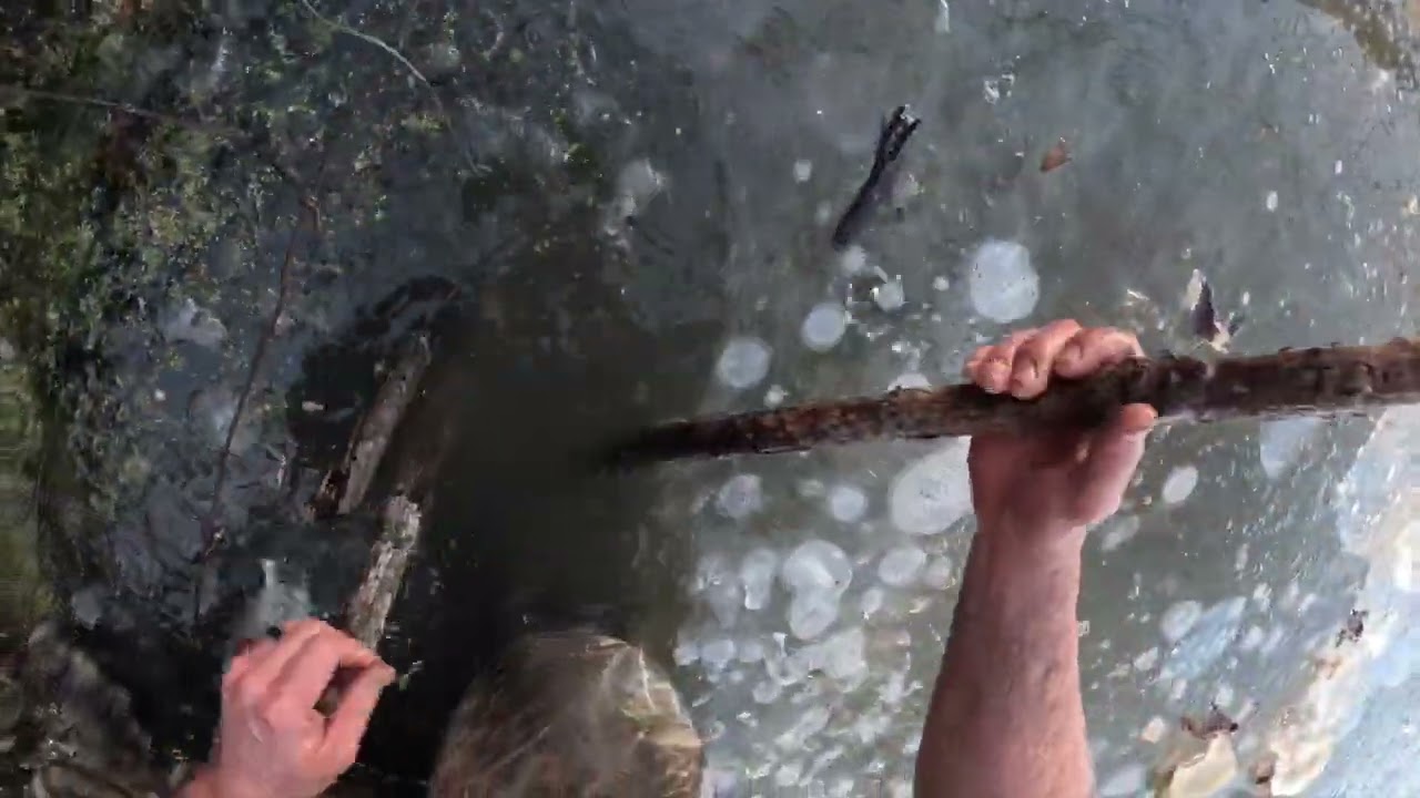 Pulling More Beavers Out And Getting More Sets In - 26 Eps12 - Helping The Flood District