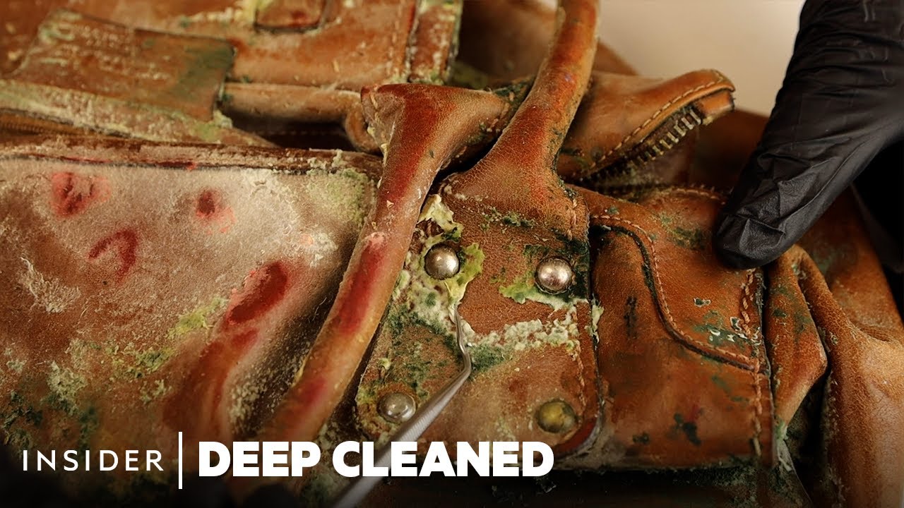 Professionals Deep Clean Extreme Mold Buildup | Deep Cleaned | Insider