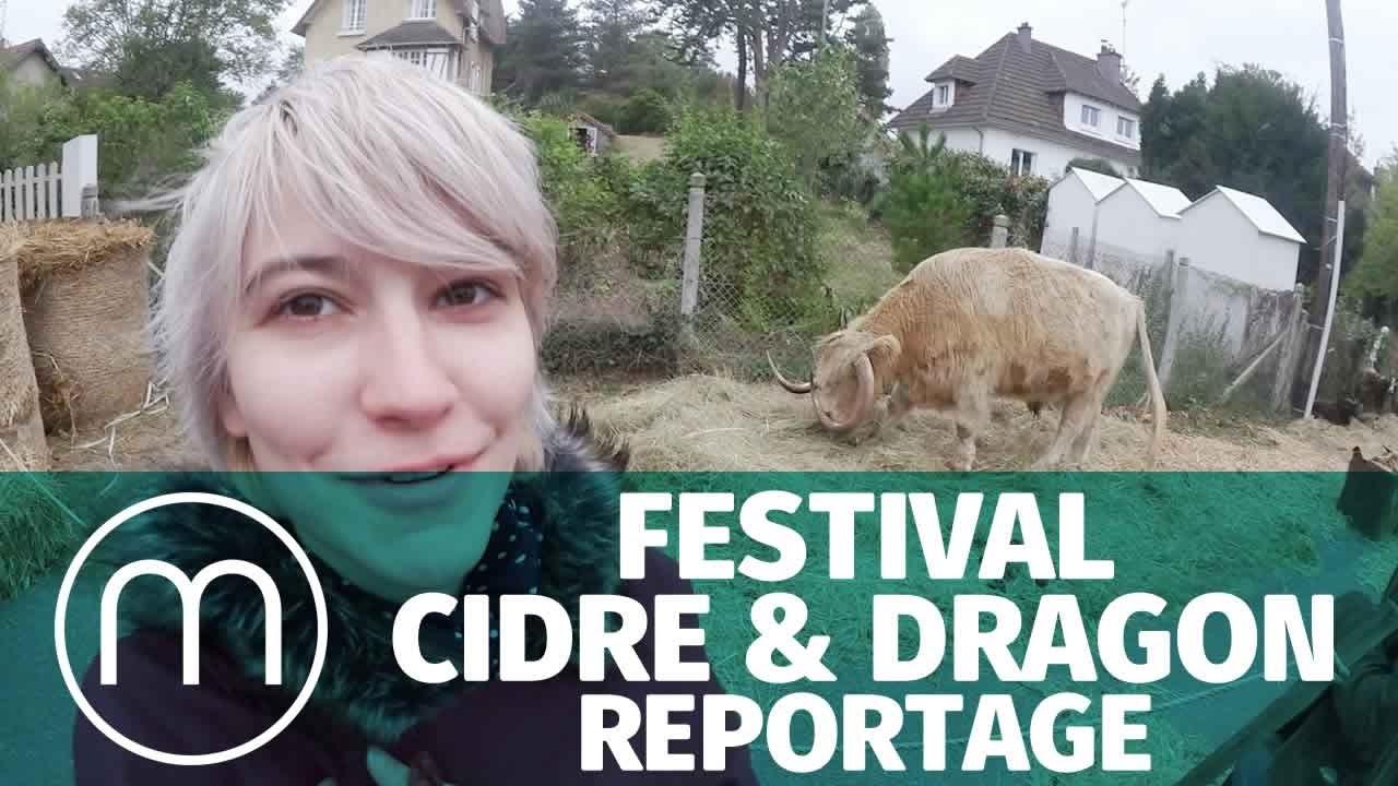 Le Festival Cidre & Dragon 2016 en reportage vidéo