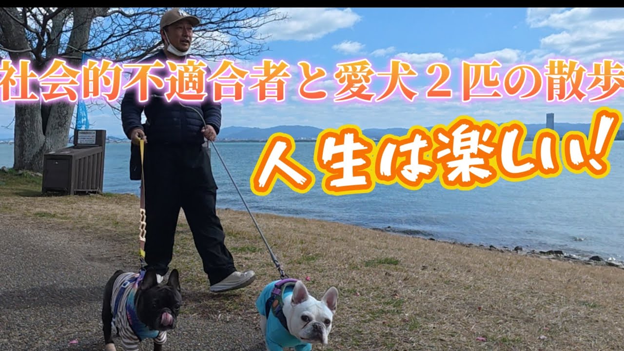 本当は教えたくない散歩コース。４０代のおっさんの日常