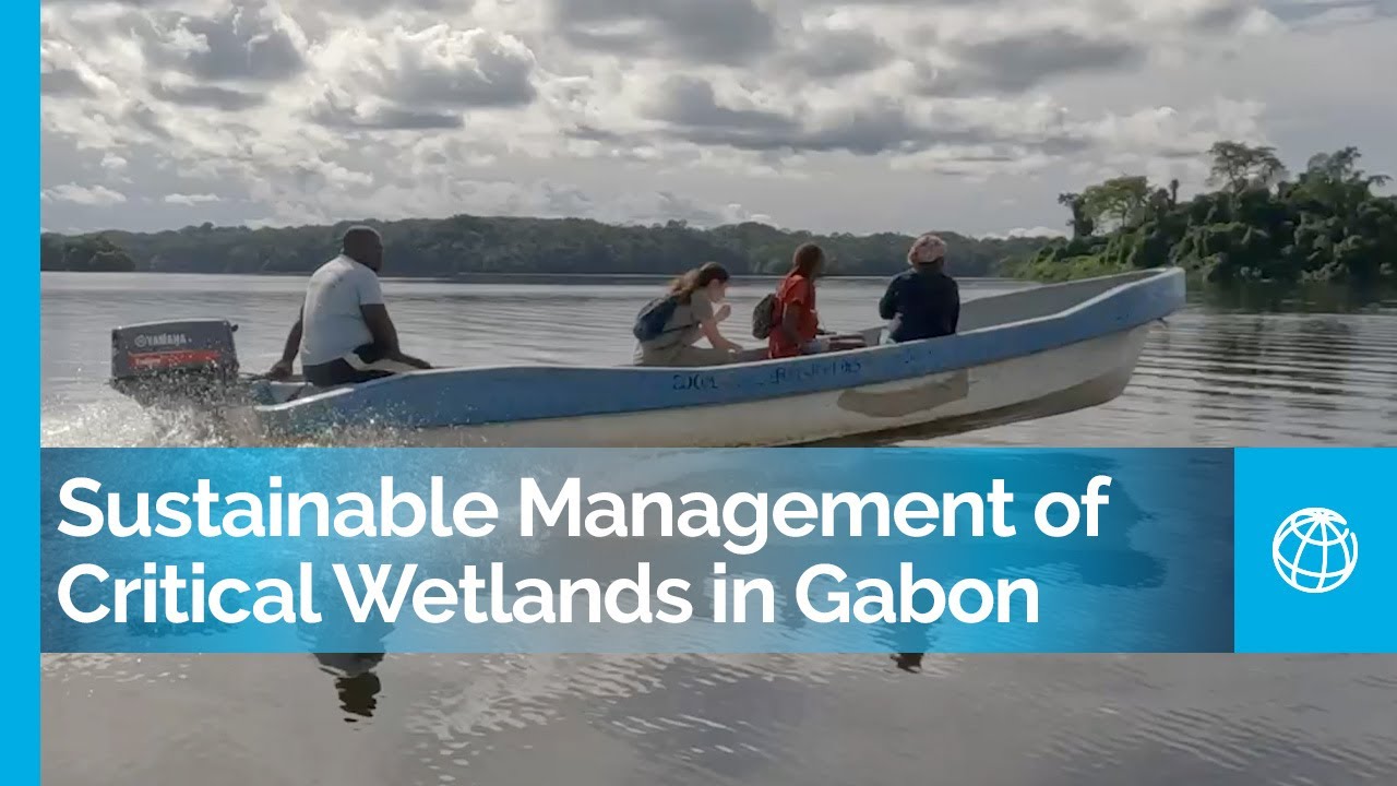 Sustainable Management of Critical Wetlands: Journey to Green Gabon