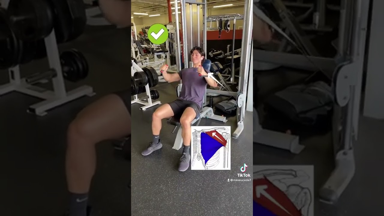 Upper Chest is lacking? DO THIS!