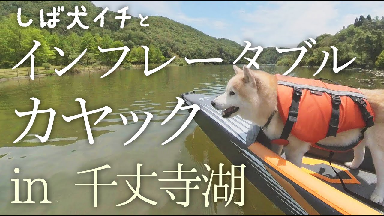 柴犬イチとカヤック｜ドロップステッチインフレータブルカヤック「トマホーク」（アクアマリーナ）を千丈寺湖（青野ダム）で漕いできました。