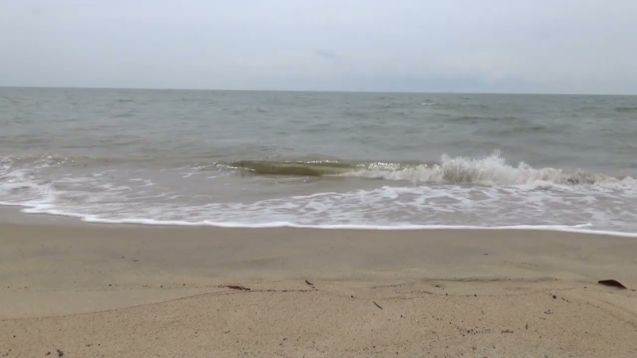 The Hollow Men by T.S. Elliot - On the Beach