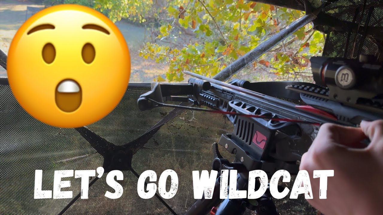 First Sit, Barnett Wildcat CRX came in clutch. Pt. 1 well if squirrels count🤣