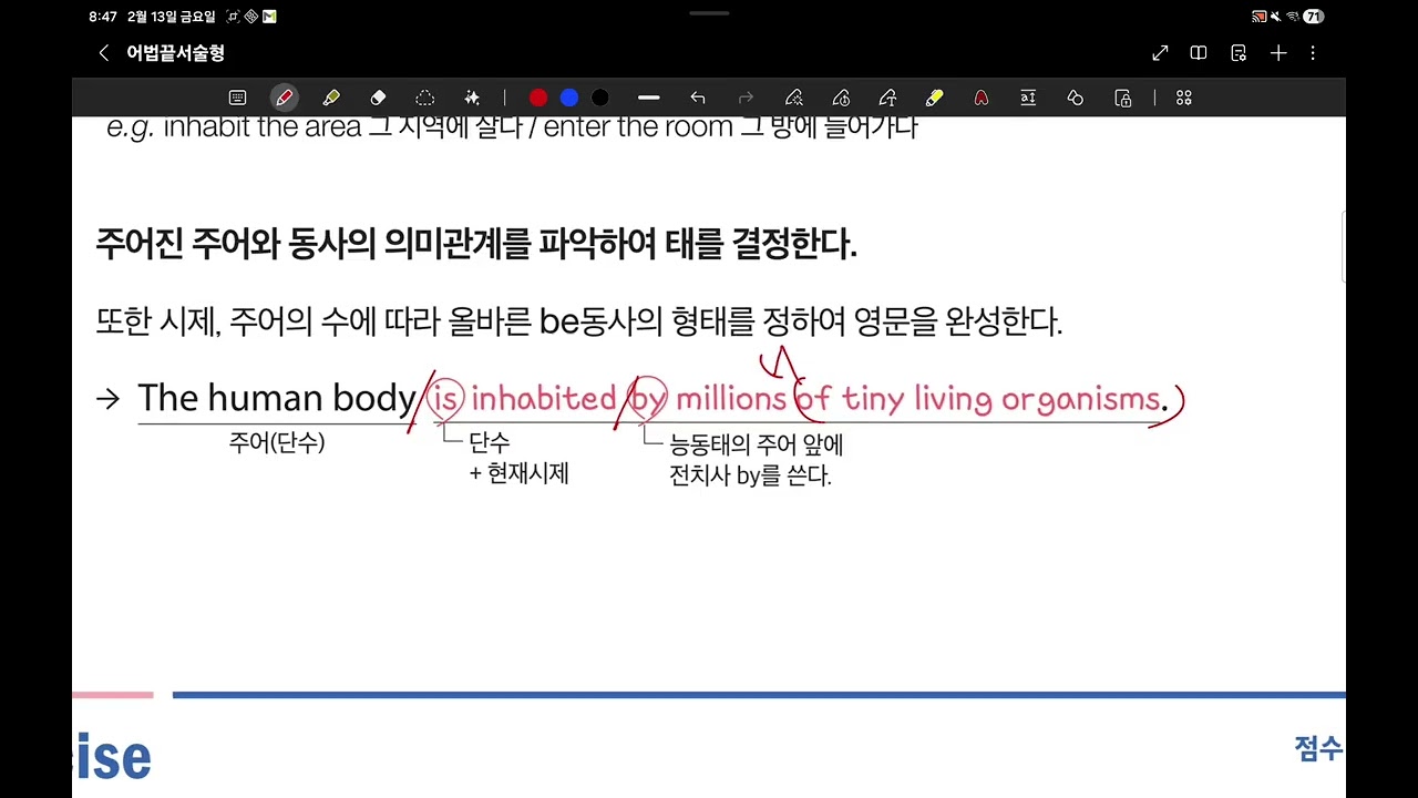 260213 M3A2 그래머 소윤 진우