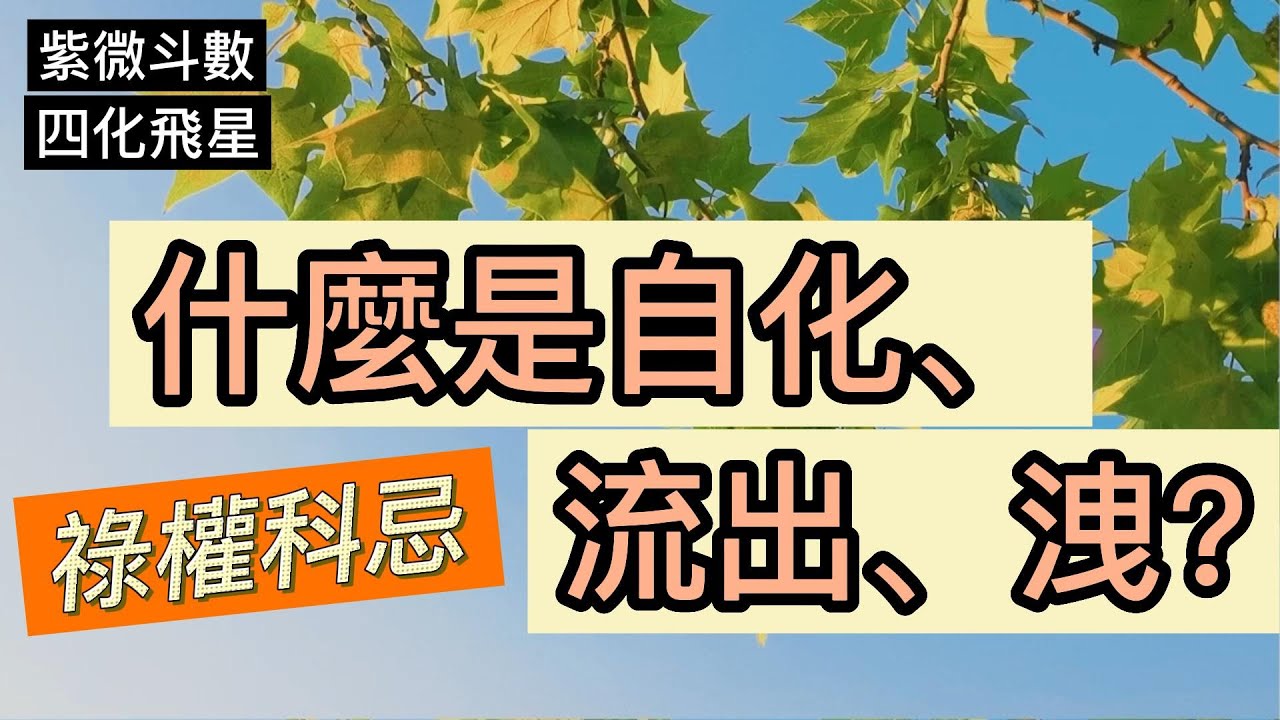 EP29【紫微斗数基础】什么是自化、流出、泄？【四化飞星】#宣如心所愿xuanwish #紫微斗数 #算命