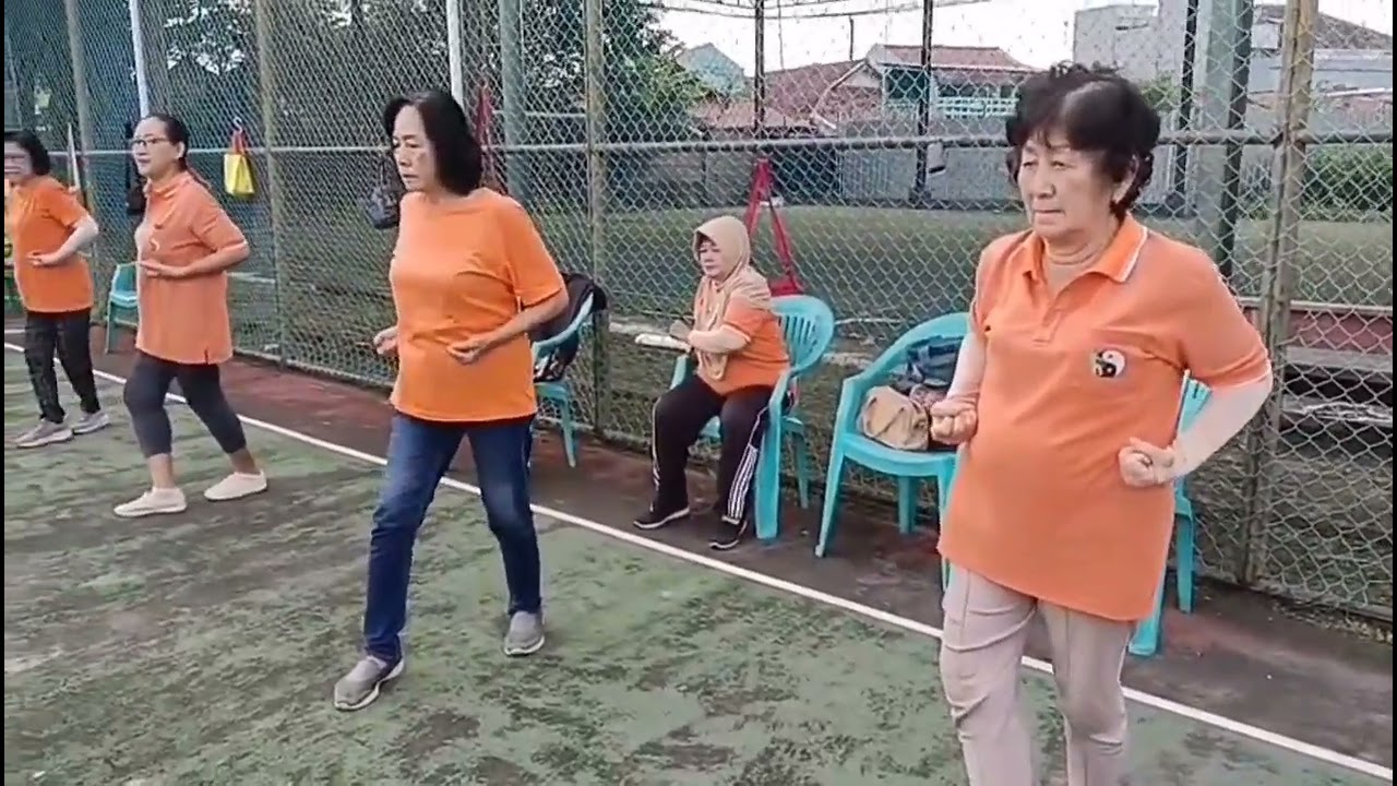 USIA 60-80 ENERJIK SENAM TERA DAN SENAM TAICHI CITRA GARDEN #senamlansia