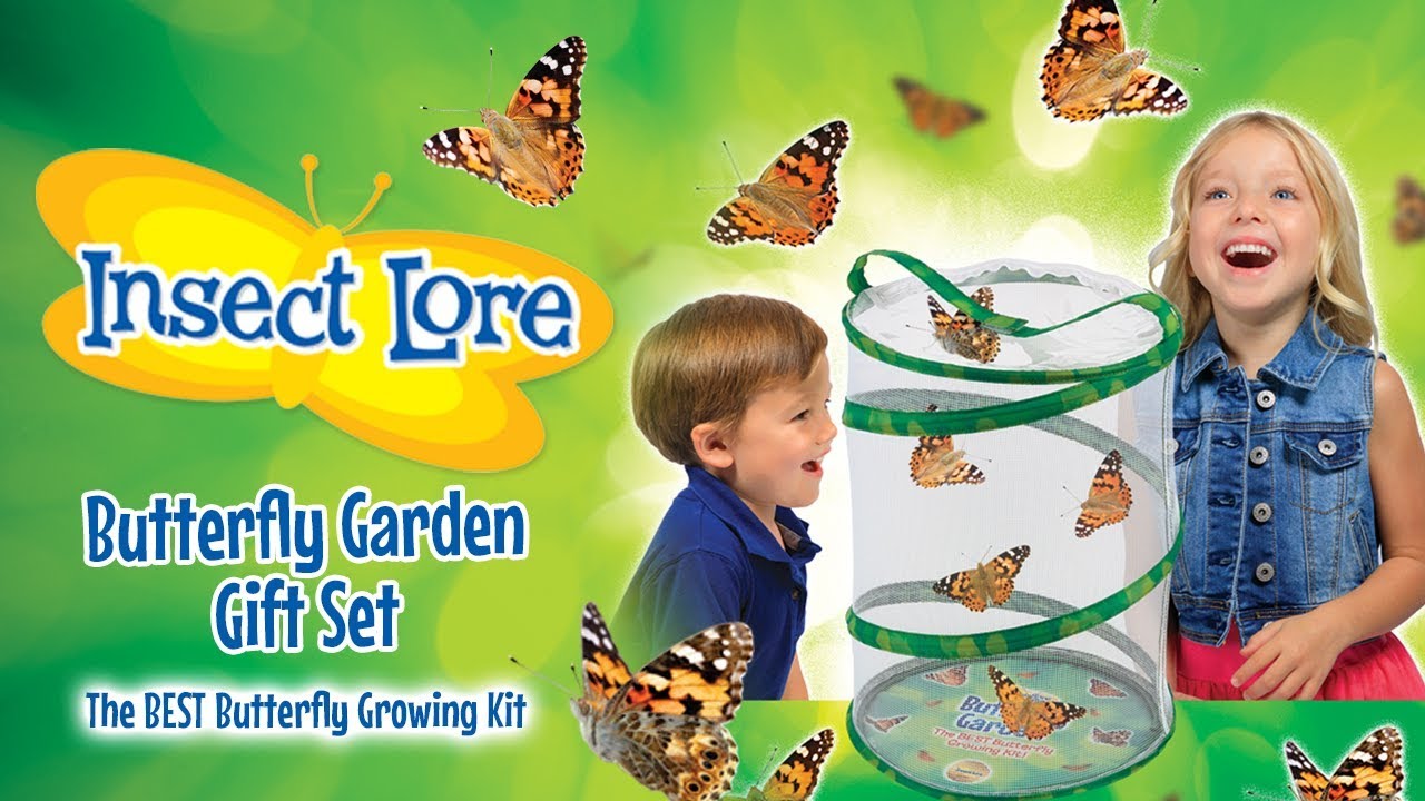 INSECT LORE'S BUTTERFLY GARDEN GIFT SET! | A Toy Insider Play by Play