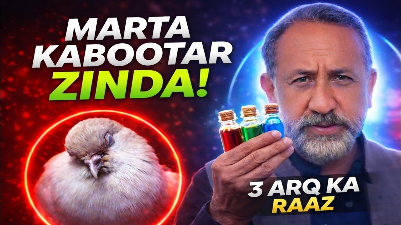 Marta Hua Kabootar 1 Ghante Mein Theek! Ustad Raja Kaka Ne Bata Diye 3 Arq | High Filer Full Tayyari