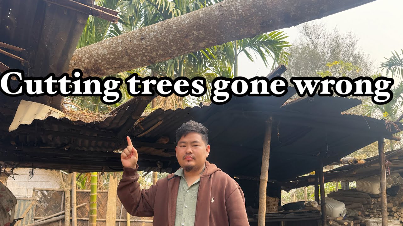 Will cutting trees big damage 😑
