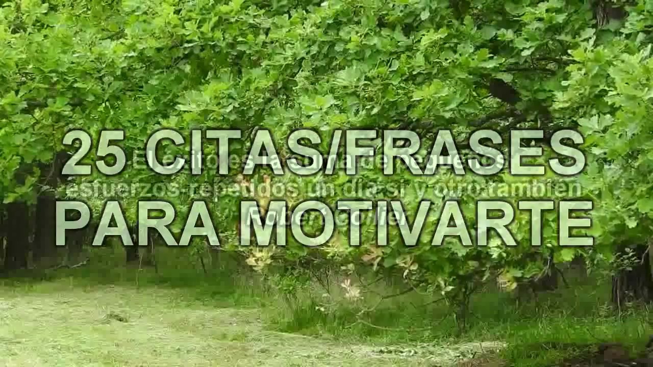25 FRASES para MOTIVAR, PERSONAS de EXITO - VIDEO DE MOTIVACION