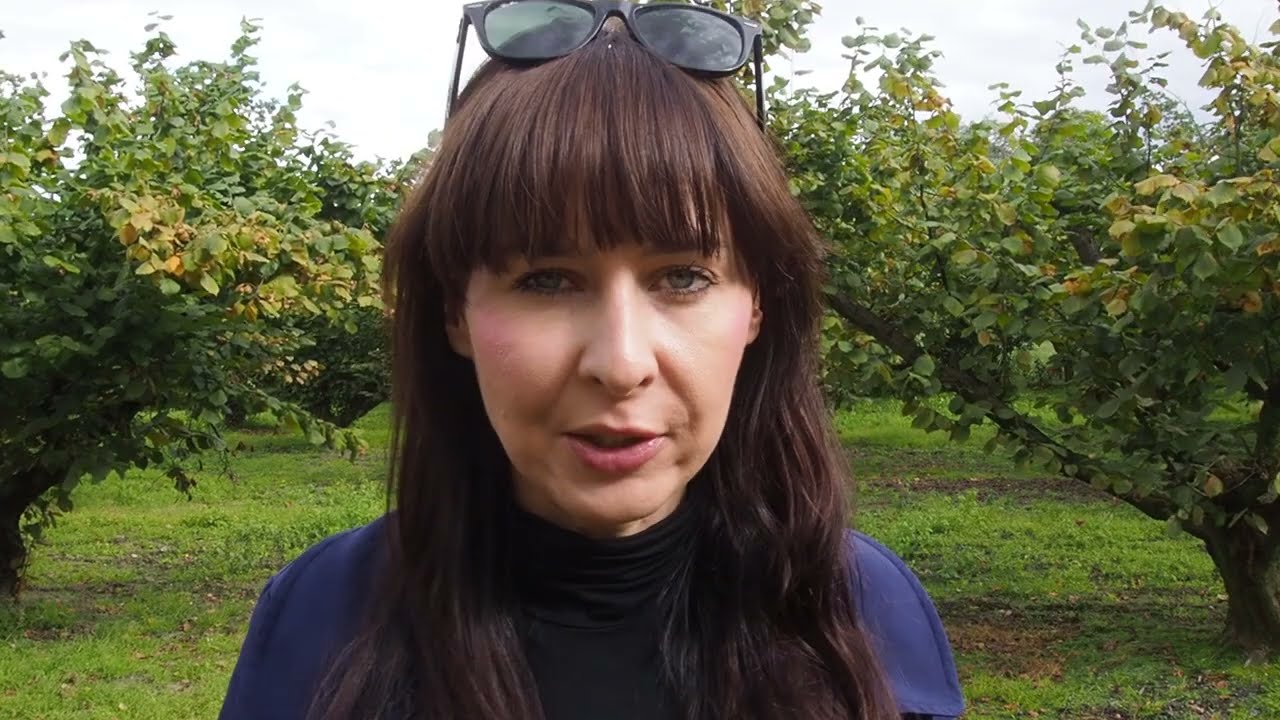 Chcecie kupić nasze roczne agresty bądź orzechy? A reszta sadzonek będzie już wkrótce wykopana