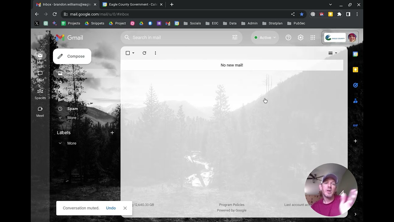 My Lazy Spot - Gmail - How to Mute an Email Thread