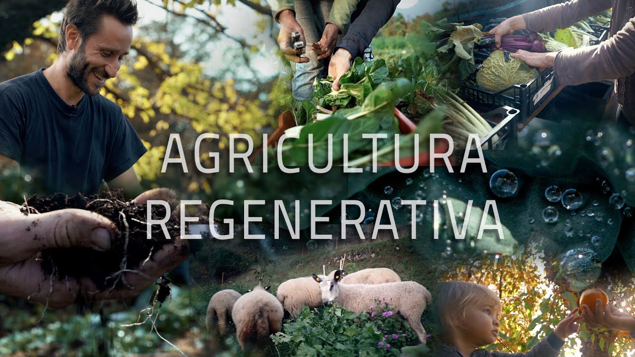 ¿Qué es la agricultura regenerativa?