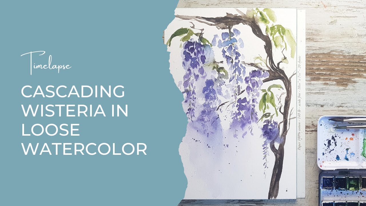 Cascading Wisteria in loose watercolor | Timelapse