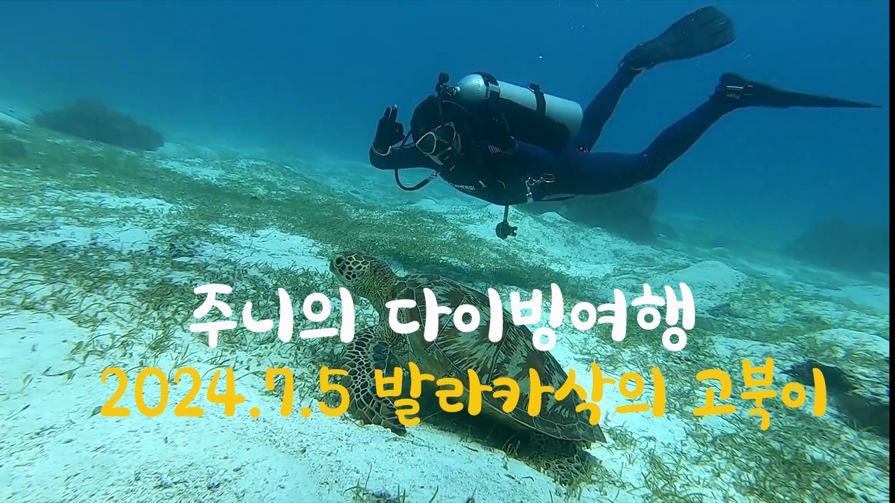 보홀다이빙5일차