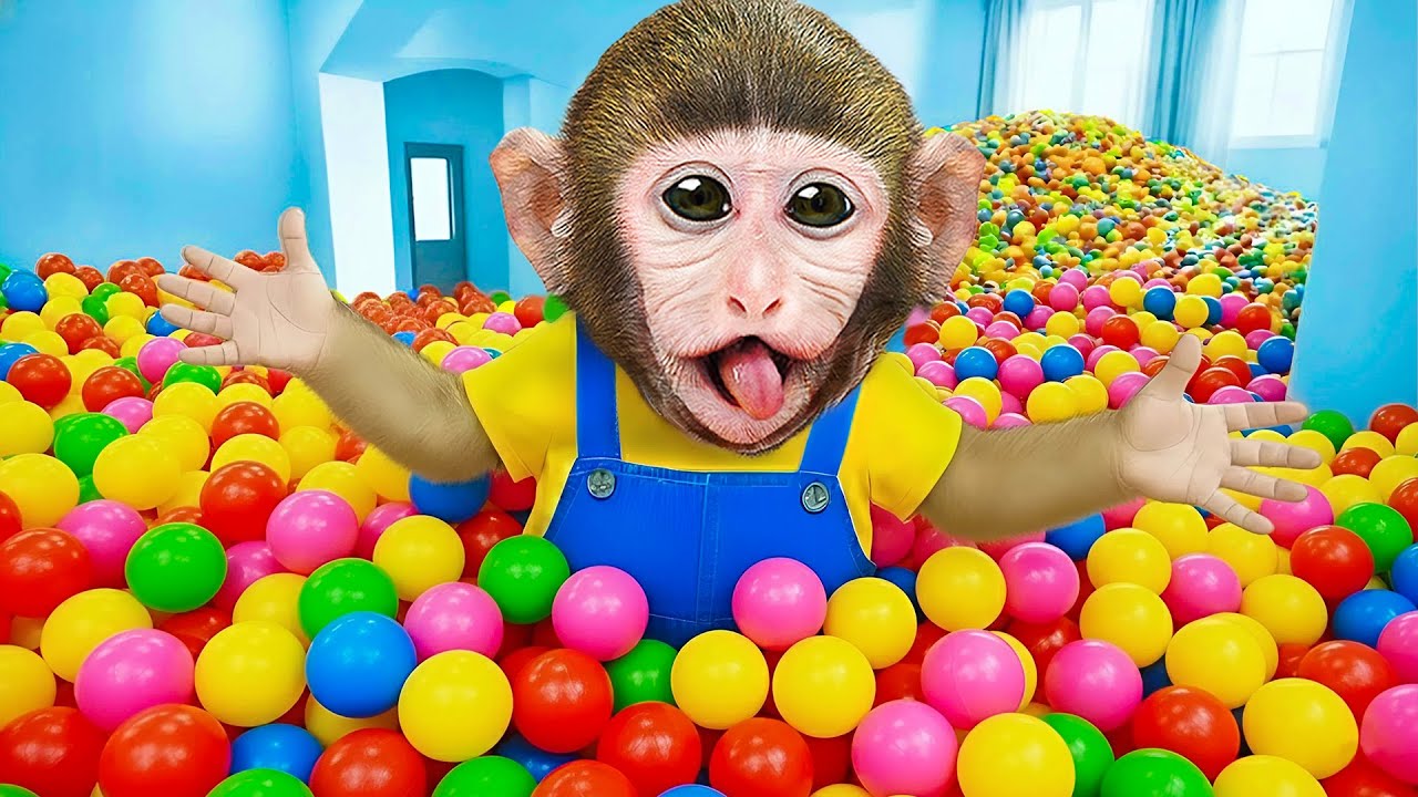 Macaco Dodo e Bonbon brincam com bola e provocam um probleminha em casa