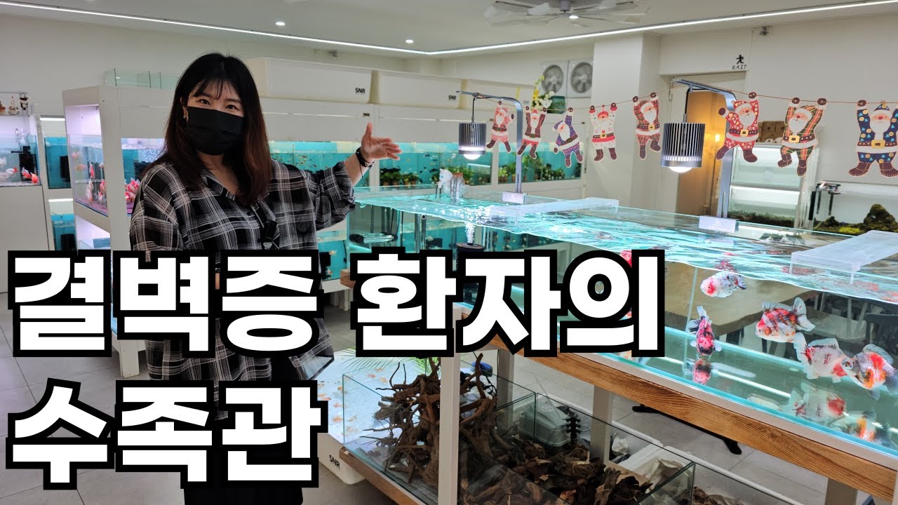 가정주부의 수족관이 성공한 이유(대전 옥쿠아리움 수족관)