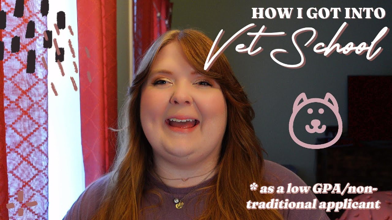 HOW I GOT INTO VET SCHOOL - As a Low GPA/Non-traditional Applicant who applied 4 times!