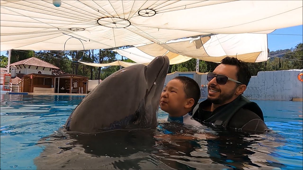 Dolphin Therapy Land ( Bernard )