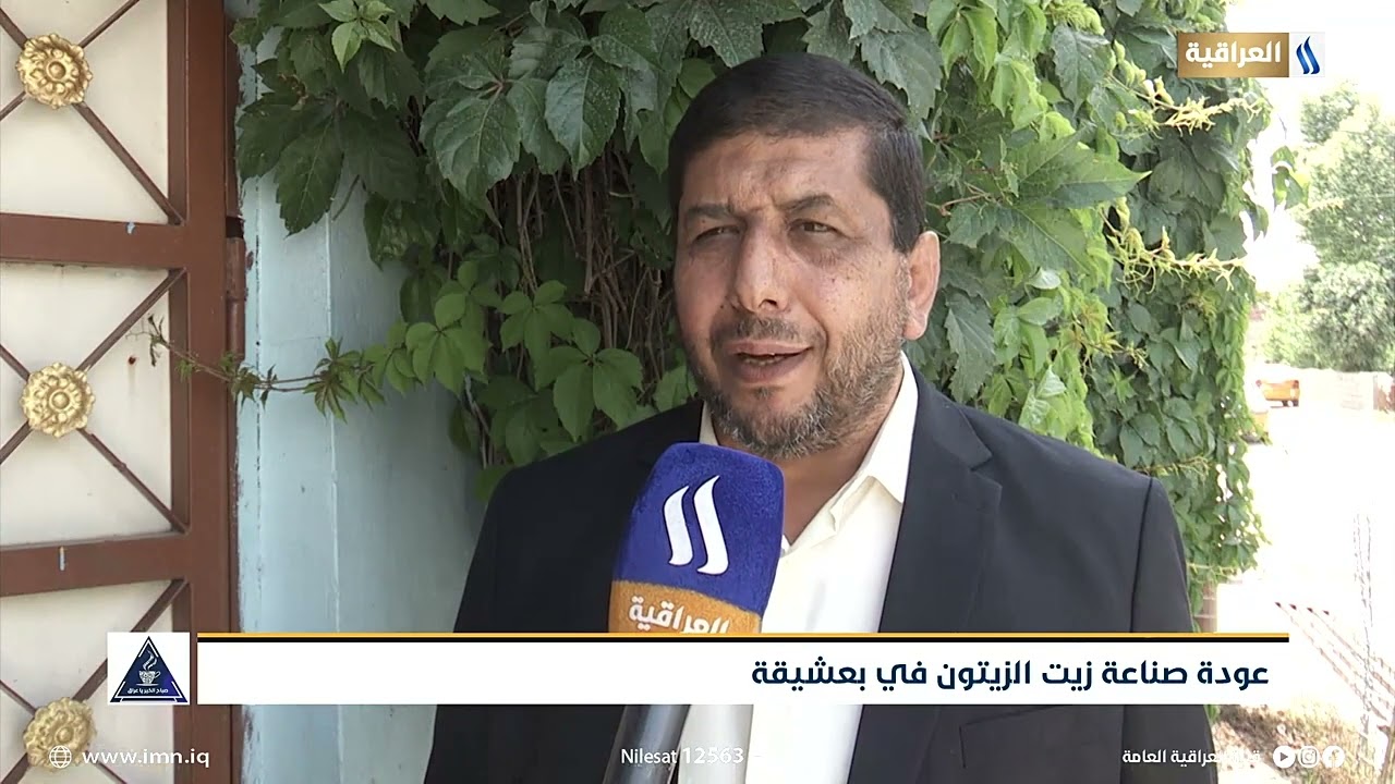 عودة صناعة زيت الزيتون في بعشيقة | تقرير : عماد الامين | صبــاح الخيـر يـاعراق