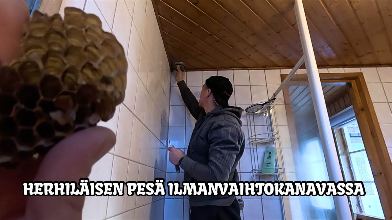 Äitin ja Topin kanssa mökille siivoilemaan herhiläispesän jäänteitä ilmanvaihtokanavasta