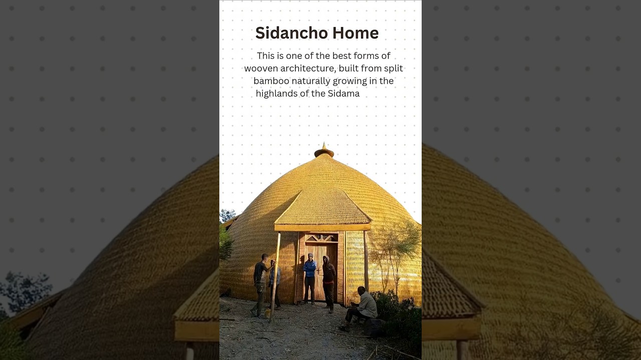 Ethiopia&rsquo;s Sidama Architecture Explained in 30 Seconds! 🛖🇪🇹