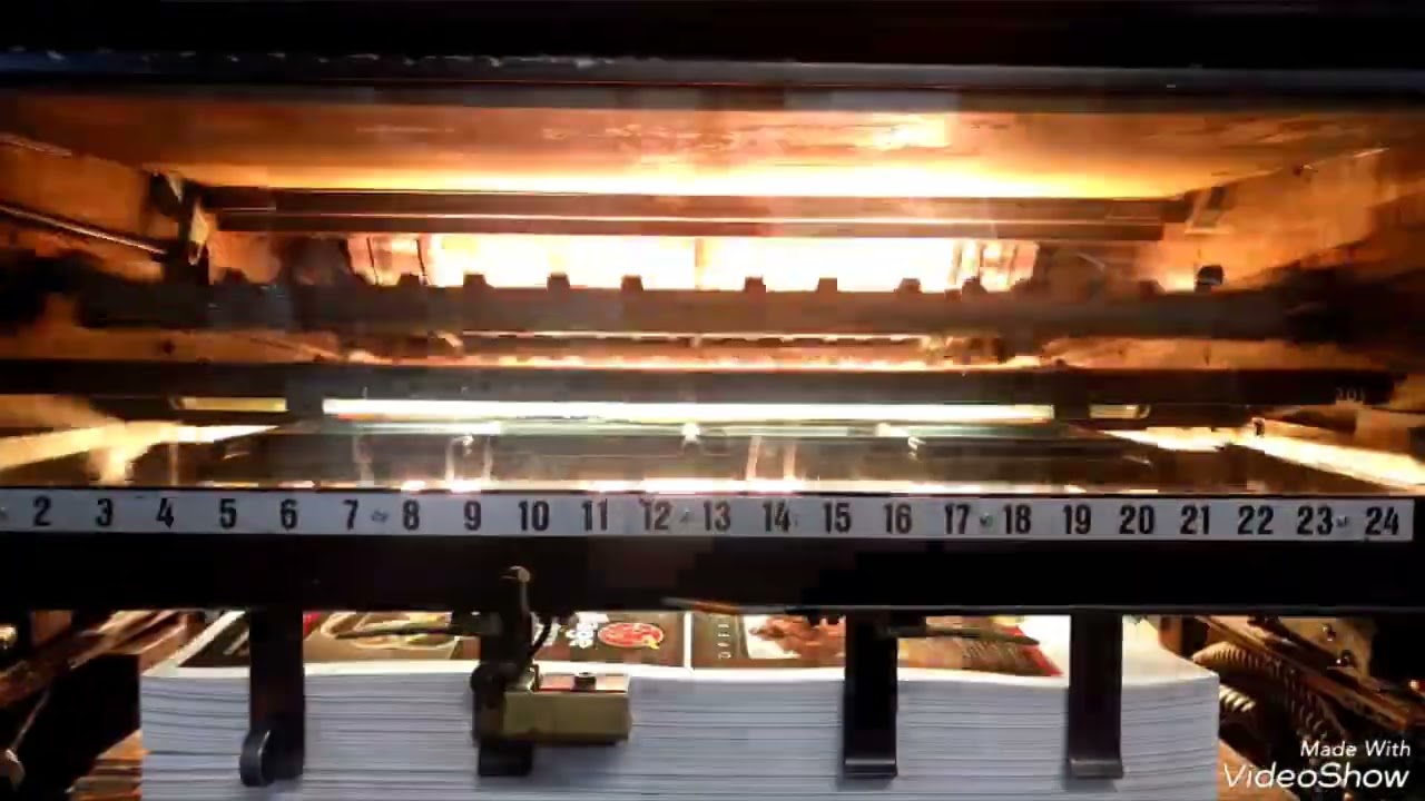 Man Roland 202 TOB Offset two colours