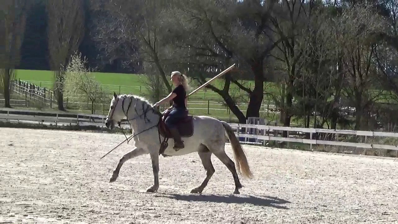 Viktoria Bergér - Garrocha-Training mit Bosal