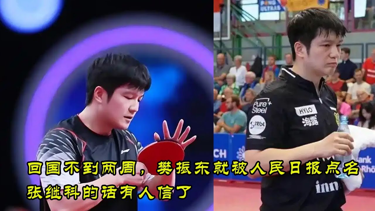 回国不到两周，樊振东就被人民日报点名，张继科的话有人信了