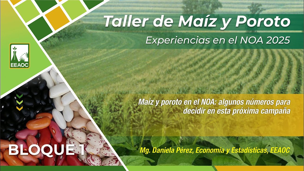 3- Maíz y Poroto en el Noa, algunos números para decidir en la próxima campaña. Daniela Pérez.