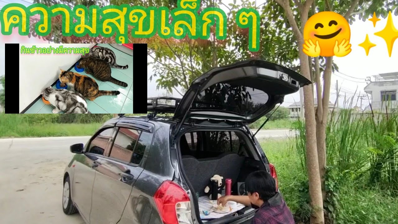 ง่ายมากทำแค่นี้💥car camping กับsuzuki celerio ไปได้ทุกที่ทุกเวลา #suzukicelerio #carcamping #cat