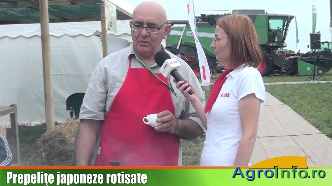 Prepelite japoneze la rotisor