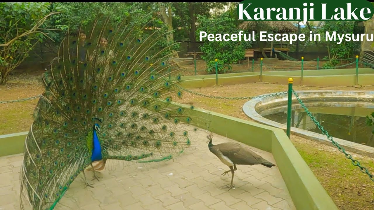 Exploring Karanji Lake Mysore | Nature, Birds & Boating |Karnataka
